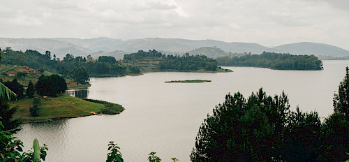 4 Tage Bwindi Gorilla Trekking & Lake Bunyonyi Safari